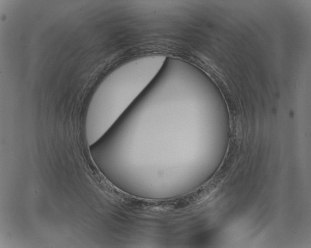 X0000064060737200601270933