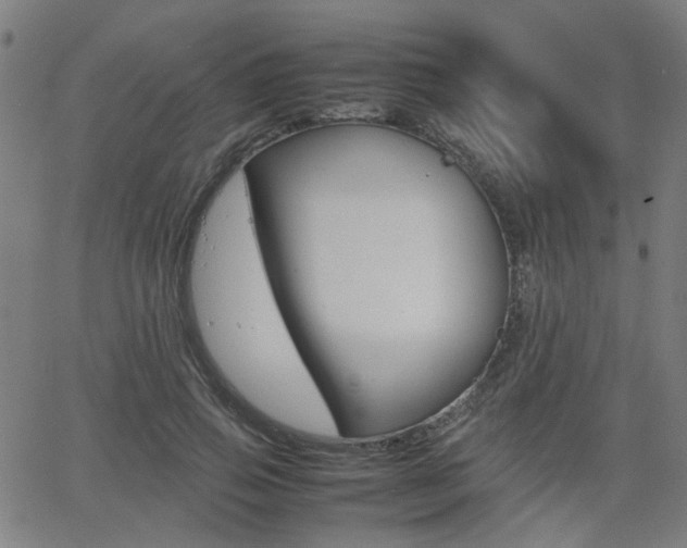 X0000064060741200601270933