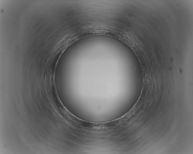 X0000064060744200601270933