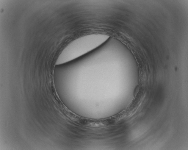 X0000064060749200601270933
