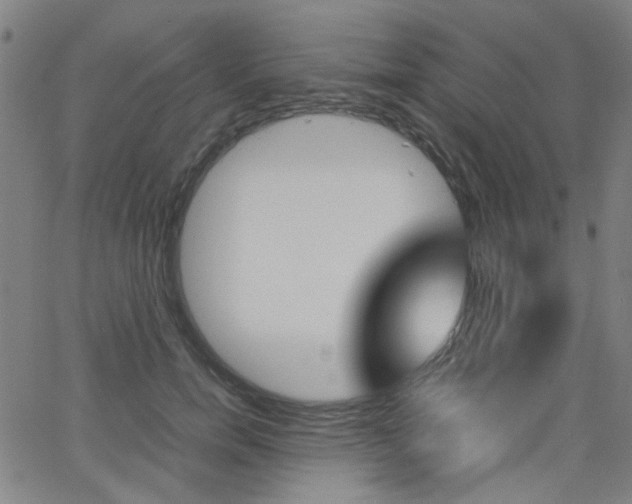 X0000064060750200601270933