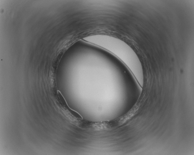X0000064060762200601270933