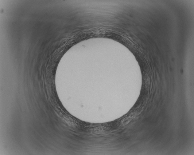 X0000064060769200601270933