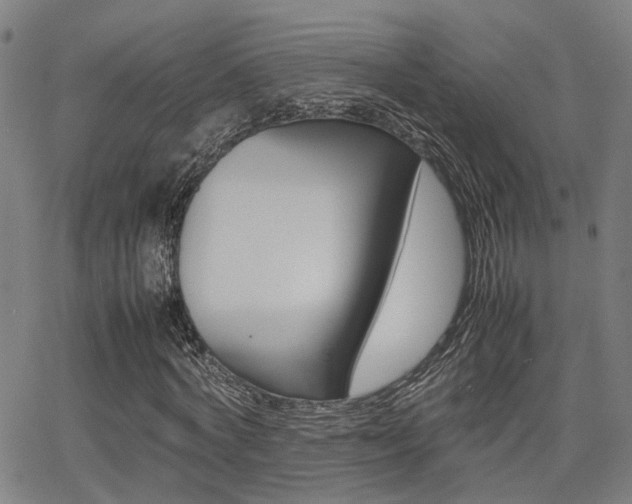 X0000064060772200601270933