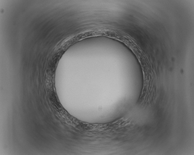 X0000064060773200601270932