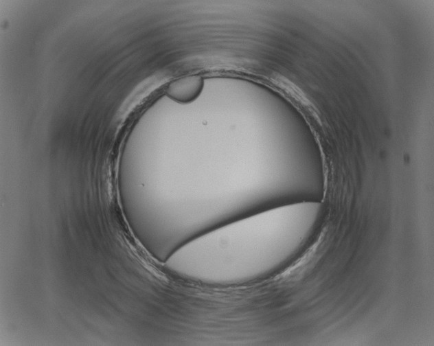 X0000064060782200601270932