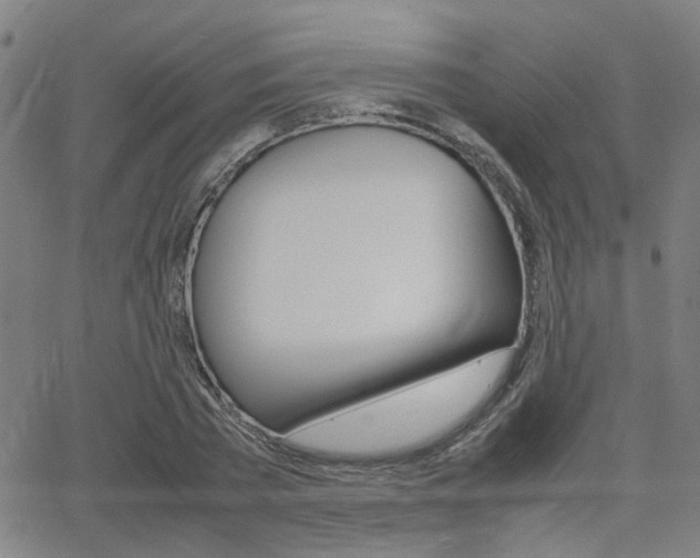 X0000064060785200601270932