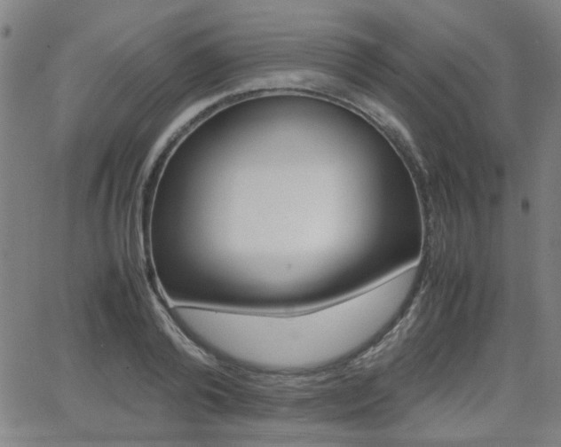 X0000064060792200601270932