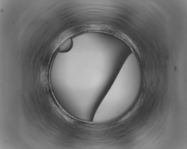 X0000064060794200601270932