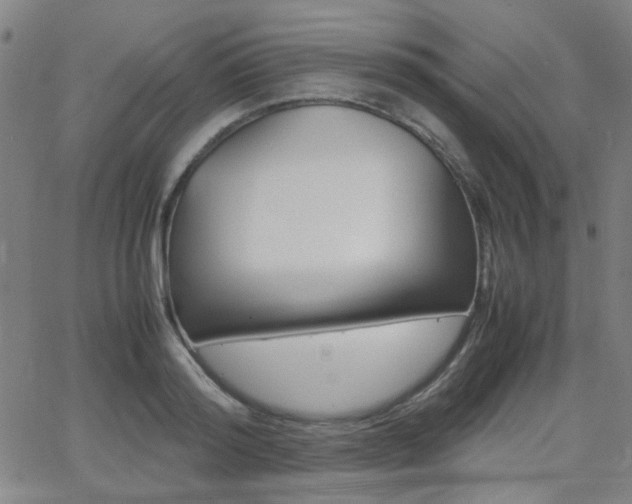X0000064060796200601270932