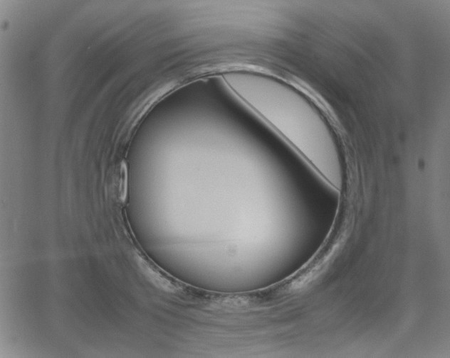 X0000064060801200601270932