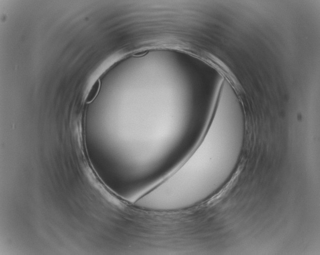 X0000064060812200601270932