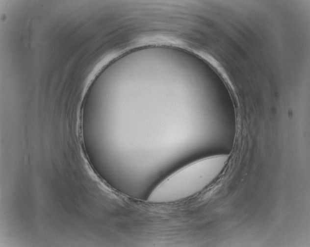 X0000064060815200601270932