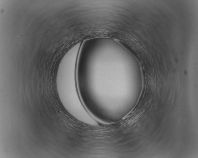 X0000064060818200601270931