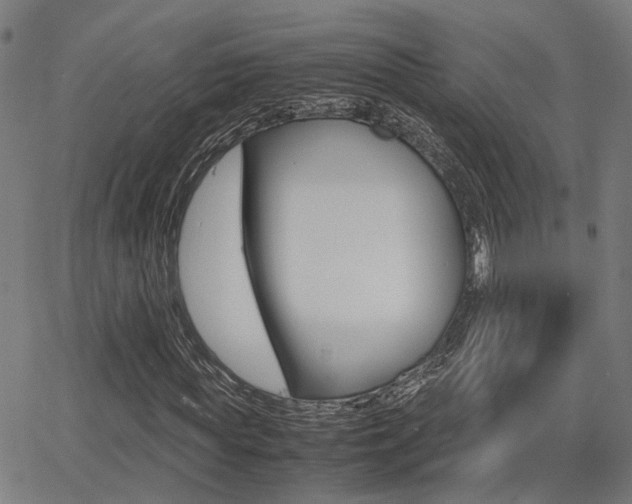 X0000064060819200601270931