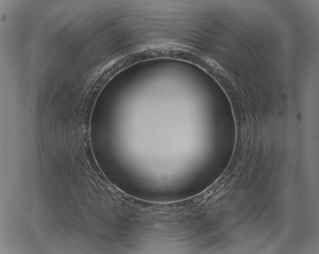 X0000064060822200601270931
