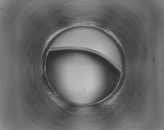 X0000064060830200601270931