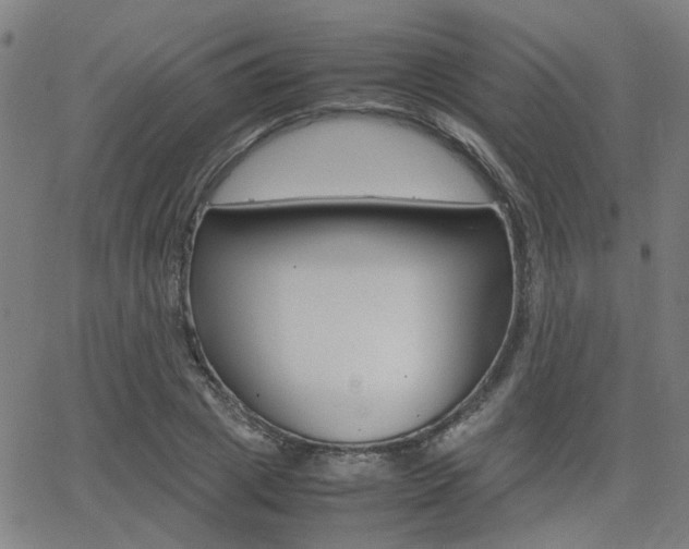 X0000064060833200601270931