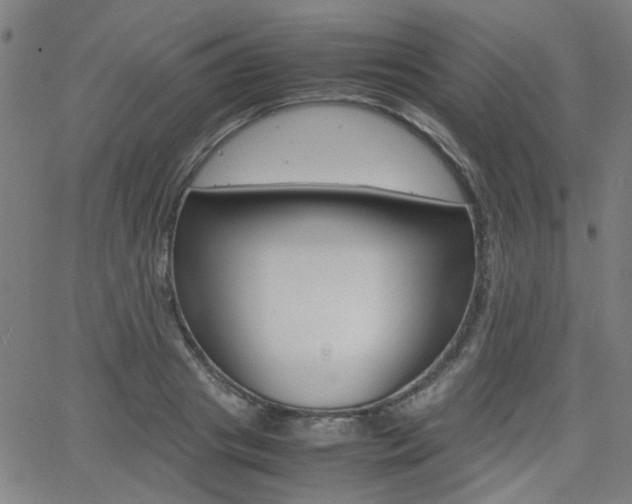 X0000064060841200601270931