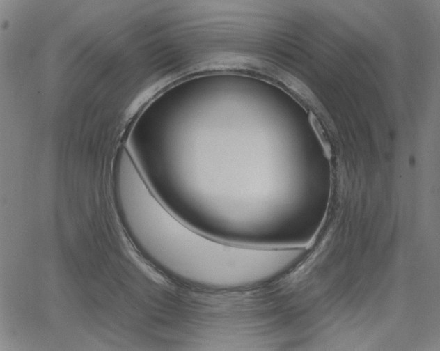 X0000064060842200601270931