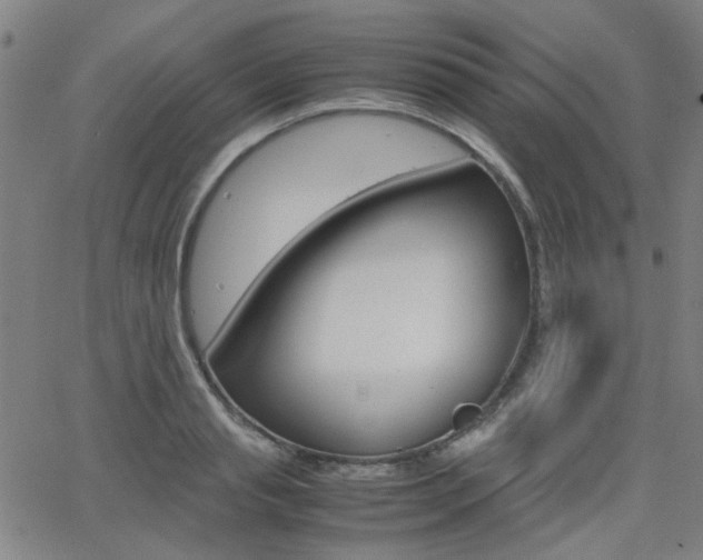 X0000064060845200601270931