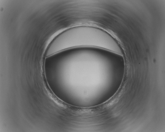 X0000064060846200601270931