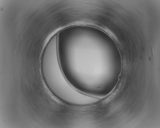 X0000064060854200601270932