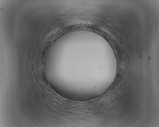 X0000064060869200601270931