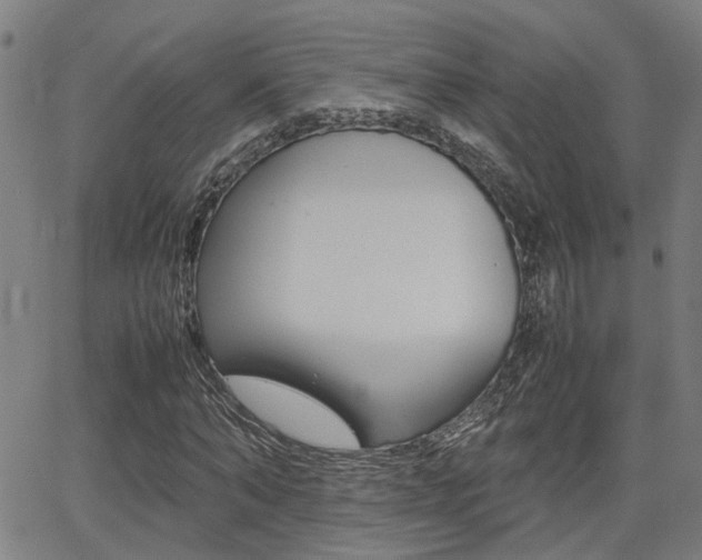 X0000064060870200601270931