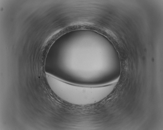 X0000064060872200601270931