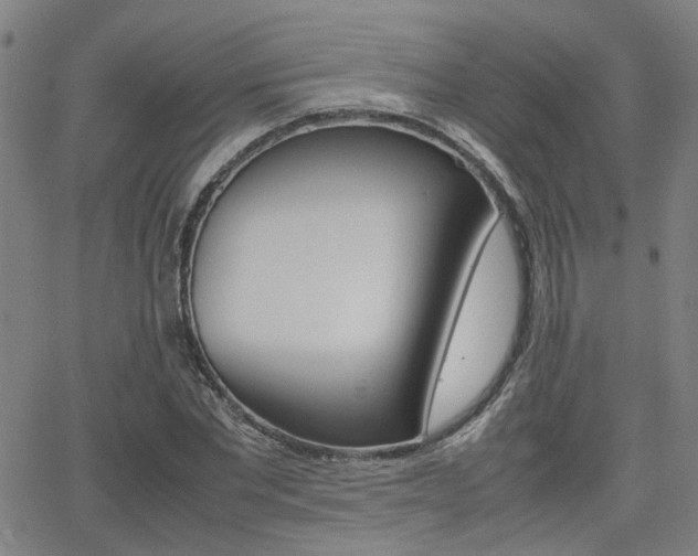 X0000064060877200601270931