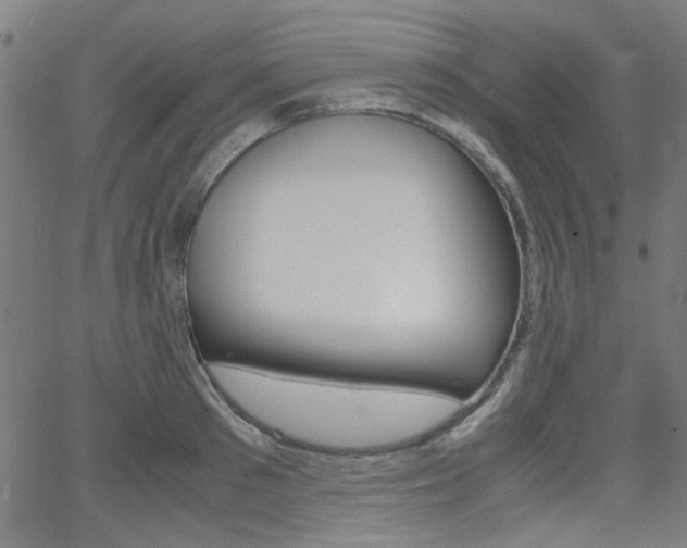 X0000064060897200601270930