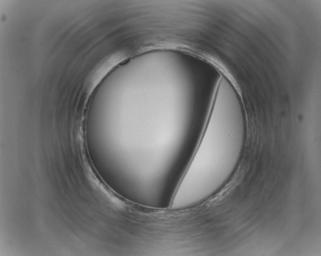 X0000064060906200601270930