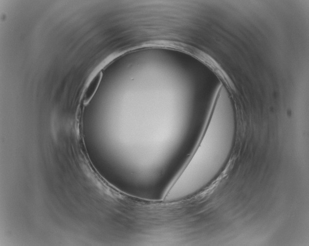 X0000064060908200601270930