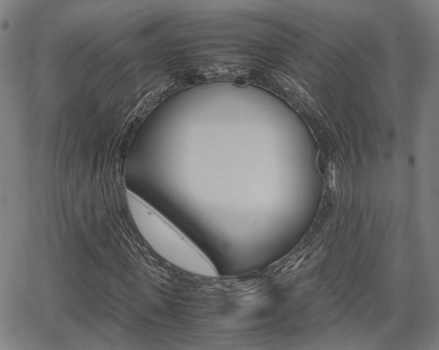 X0000064060915200601270930