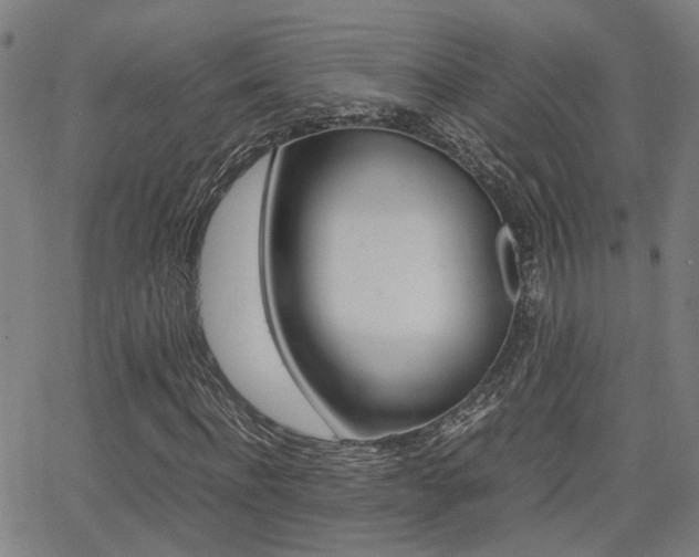X0000064060916200601270930