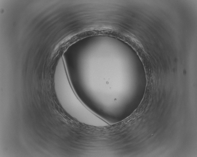 X0000064060920200601270930