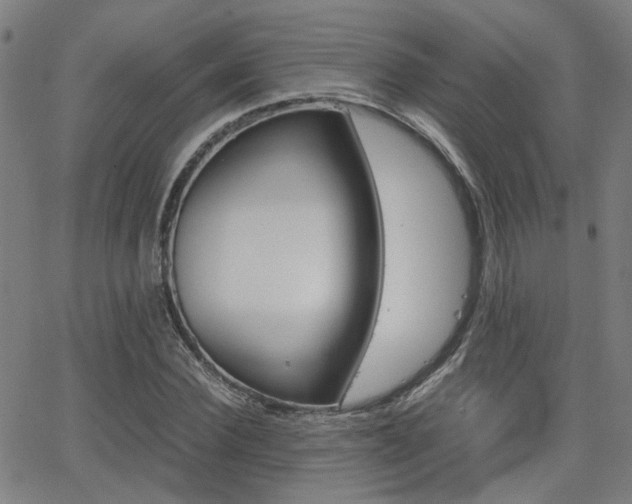 X0000064060924200601270930