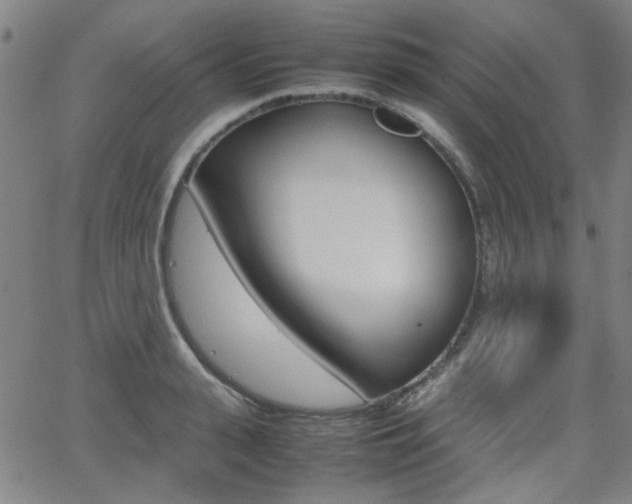 X0000064060943200601270930
