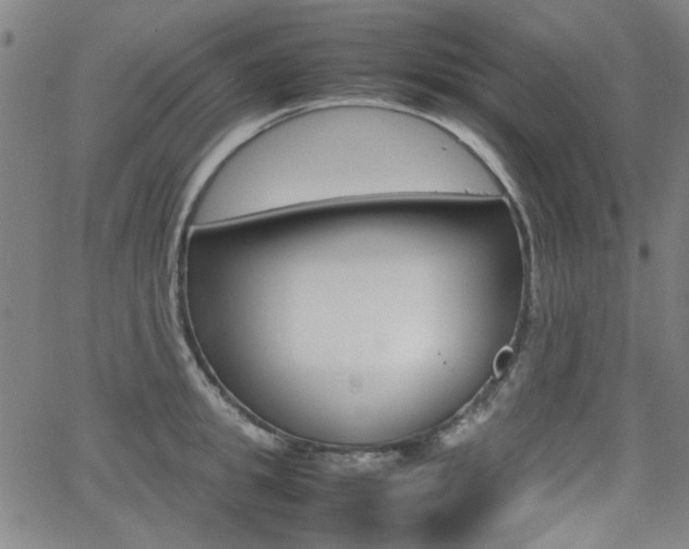 X0000064060949200601270930