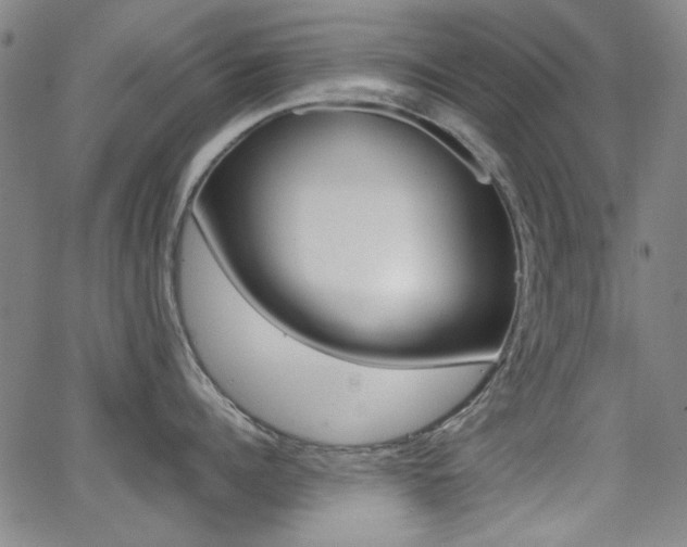 X0000064060960200601270930