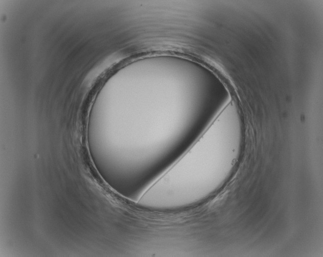 X0000064060979200601270929
