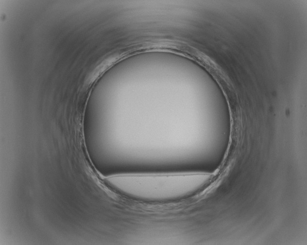 X0000064060985200601270929
