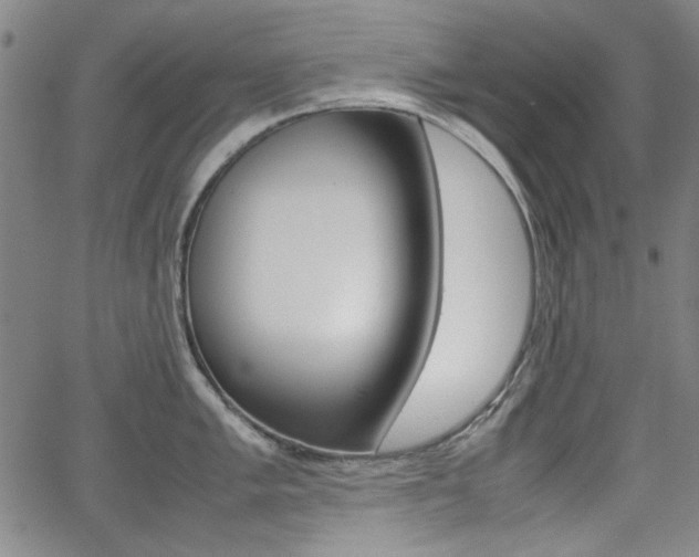 X0000064061005200601270929