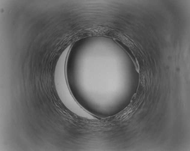 X0000064061010200601270928