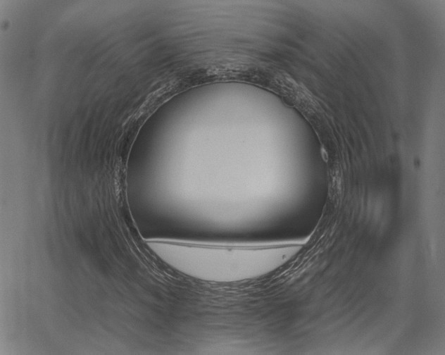 X0000064061012200601270928