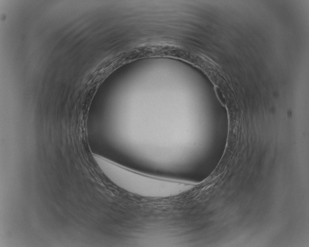 X0000064061014200601270928