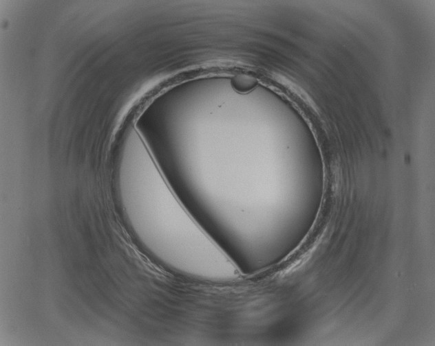 X0000064061021200601270928