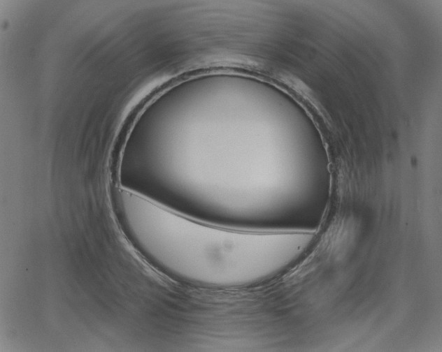 X0000064061024200601270928
