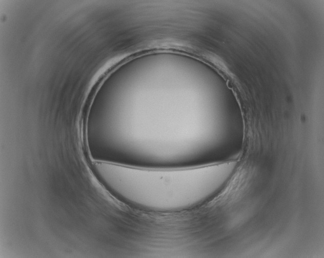 X0000064061032200601270928